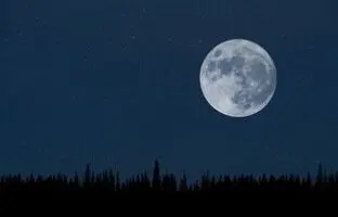 اختلال عاطفی فصلی در شب یلدا/ این علایم را جدی بگیرید!