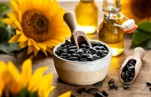 تخمه آفتابگردان برای مبتلایان به دیابت و کبد چرب مضر است؟ 