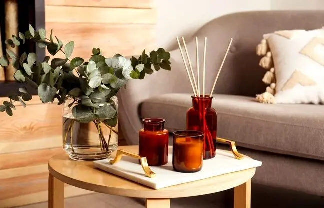 چطور خانه را برای نوروز 1404 خوشبو کنیم ؛ بهترین خوشبوکننده های بازار چند؟
