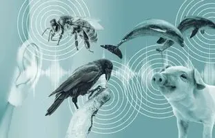 درک زبان حیوانات با هوش مصنوعی
