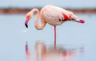 کشف عجیب از یک منزل شخصی در کرج