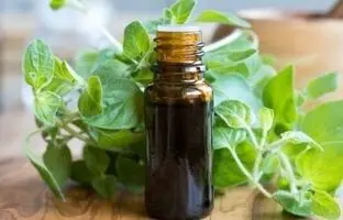 خواص روغن پونه کوهی