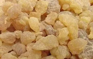 سقز چیست ؟ خواص سقز و کاربردهای درمانی آن در طب سنتی