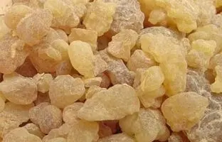 سقز چیست ؟ خواص سقز و کاربردهای درمانی آن در طب سنتی