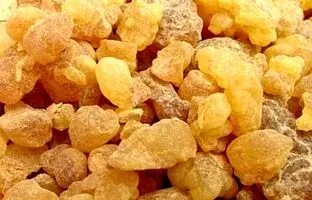 سقز چیست ؟ خواص سقز و کاربردهای درمانی آن در طب سنتی