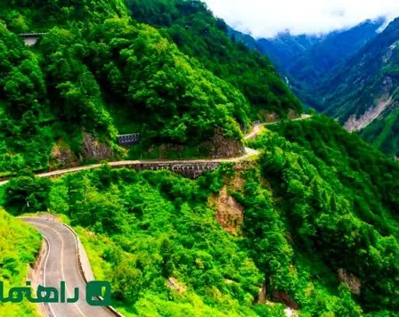بهترین باغ‌های جاده چالوس برای پیک‌نیک خانوادگی؛ سفر یک‌روزه خنک وسط طبیعت