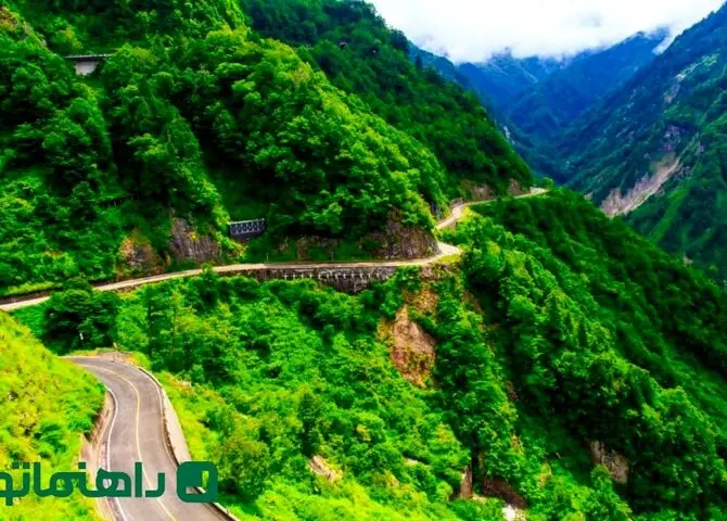 بهترین باغ‌های جاده چالوس برای پیک‌نیک خانوادگی؛ سفر یک‌روزه خنک وسط طبیعت