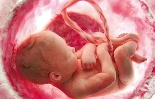 (ویدئو) مشکلات اسپرم تا چه اندازه در شکست آی‌وی‌اف موثر است؟
