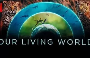 
مستندهای جدید تلویزیون کدام‌اند؟
