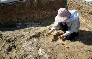 کشف شواهدی از پخت اولیه گچ در غرب ایران