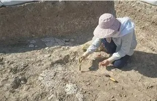 کشف شواهدی از پخت اولیه گچ در غرب ایران