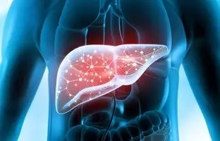 ادویه ای که کبد چرب را درمان می کند!