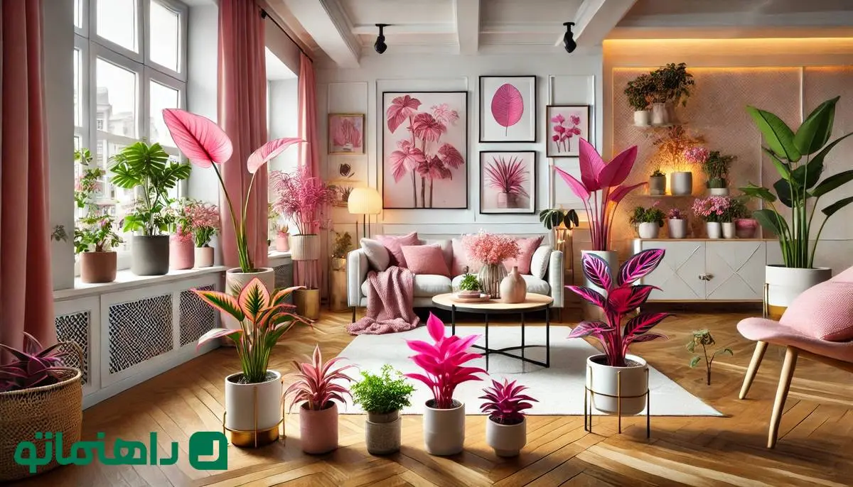 زیباترین گیاهان آپارتمانی با برگ های صورتی