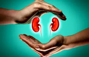۶ خوراکی بی‌نظیر برای کلیه