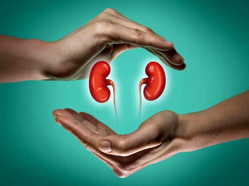 ۶ خوراکی بی‌نظیر برای کلیه