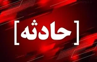 «تام» با خالکوبی گربه معروف؛ سارق ناشی‌ای که همیشه گیر می‌افتد
