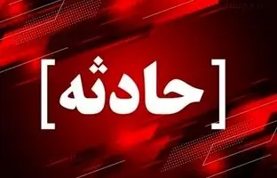 «تام» با خالکوبی گربه معروف؛ سارق ناشی‌ای که همیشه گیر می‌افتد