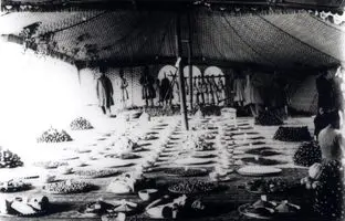 مخلفات آش همایونی در ییلاق سرخه حصار سال 1273 خورشیدی