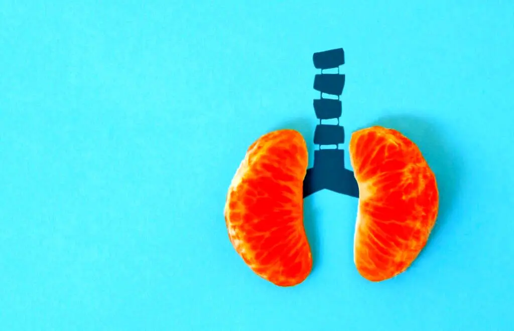 ۸ ماده غذایی که نمی دانستید حاوی نیکوتین هستند؛ از چای تا بادمجان و سیب زمینی