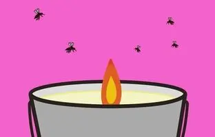 (ویدئو) نحوه ساخت یک شمع متفاوت برای دور کردن پشه ها