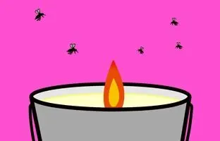(ویدئو) نحوه ساخت یک شمع متفاوت برای دور کردن پشه ها