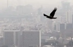 شاخص آلودگی هوای تهران؛ ۱۲ دی
