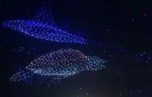 رقص نور پهپادها با الهام از موجودات دریایی + ویدئو