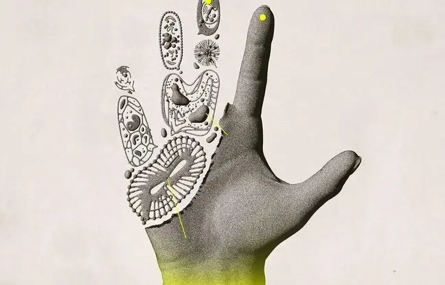 دست و پای قطع‌شدۀ «انسان» دوباره رشد می کند؟