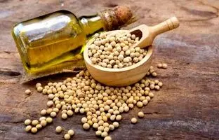روغن سویا؛ خواص، مضرات و مقایسه آن با روغن‌های دیگر