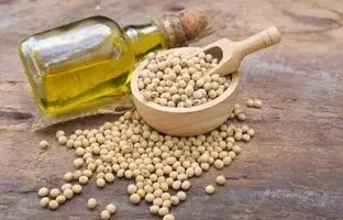 روغن سویا؛ خواص، مضرات و مقایسه آن با روغن‌های دیگر