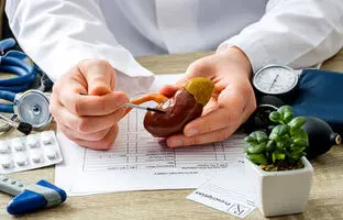 این میوه سنگ کلیه را سه سوته پودر می‌کند