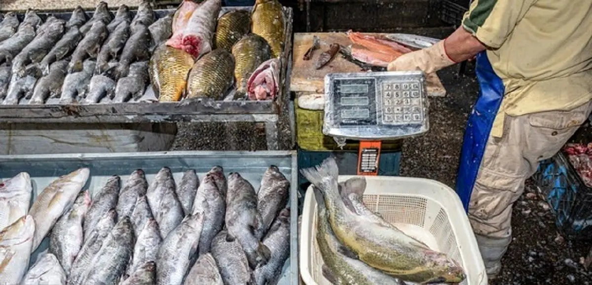 آیا مصرف ماهی برای کودکان مضر است؟
