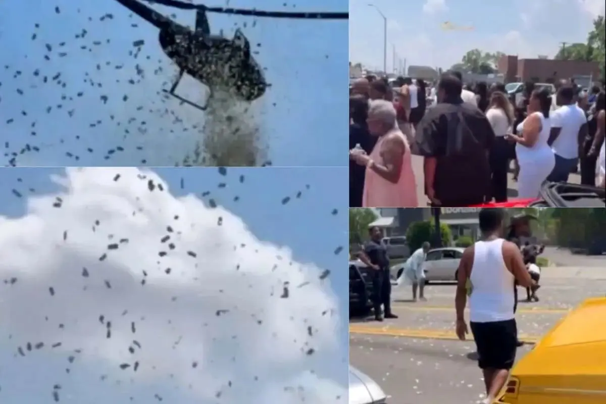  بارش دلار از آسمان! + ویدئو