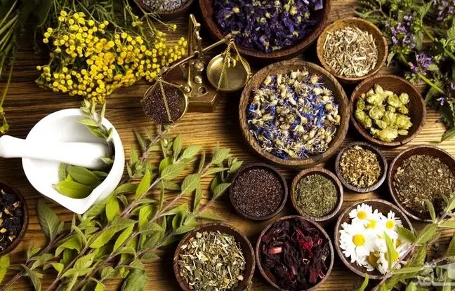 شکست خستگی با ۱۰ گیاه دارویی؛ راهی ساده برای بالا بردن انرژی