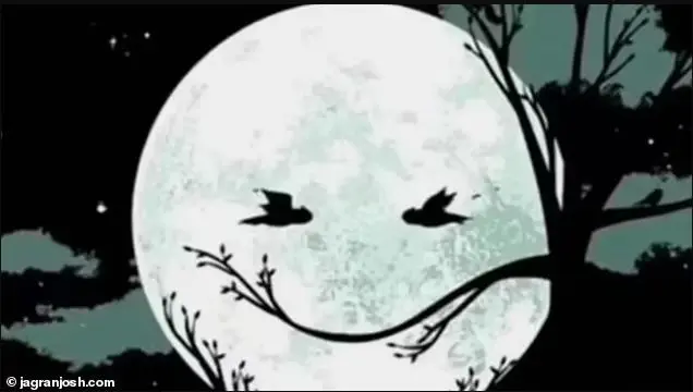 چهره خندان یا ماه؟ این تصویر بزرگ‌ترین و ناخودآگاه‌ترین ترس‌تان را برملا می‌کند   