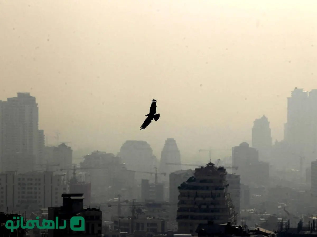 آلودگی هوا و زندگی شهری در جدال با طبیعت ؛ نگاهی به فیلم به سوی طبیعت وحشی