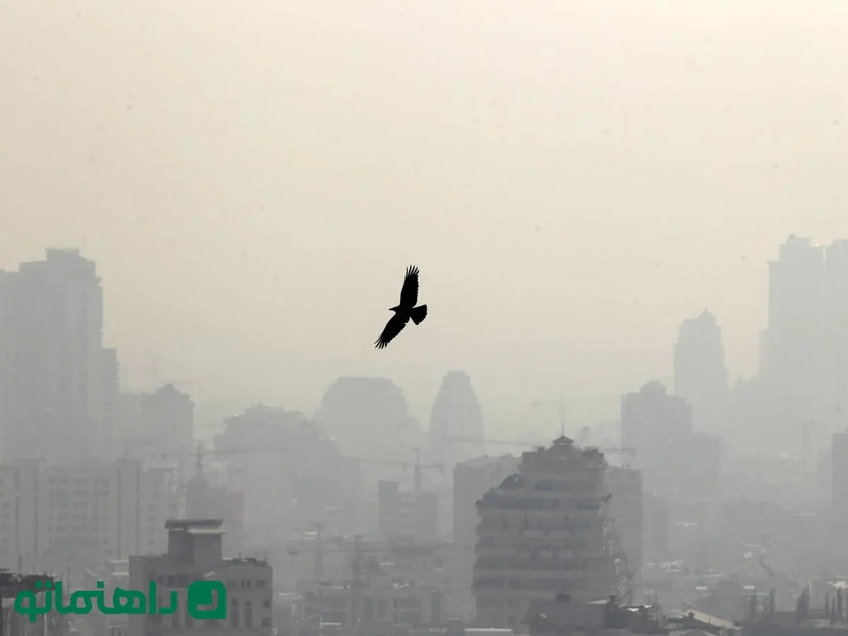 آلودگی هوا و زندگی شهری در جدال با طبیعت ؛ نگاهی به فیلم به سوی طبیعت وحشی