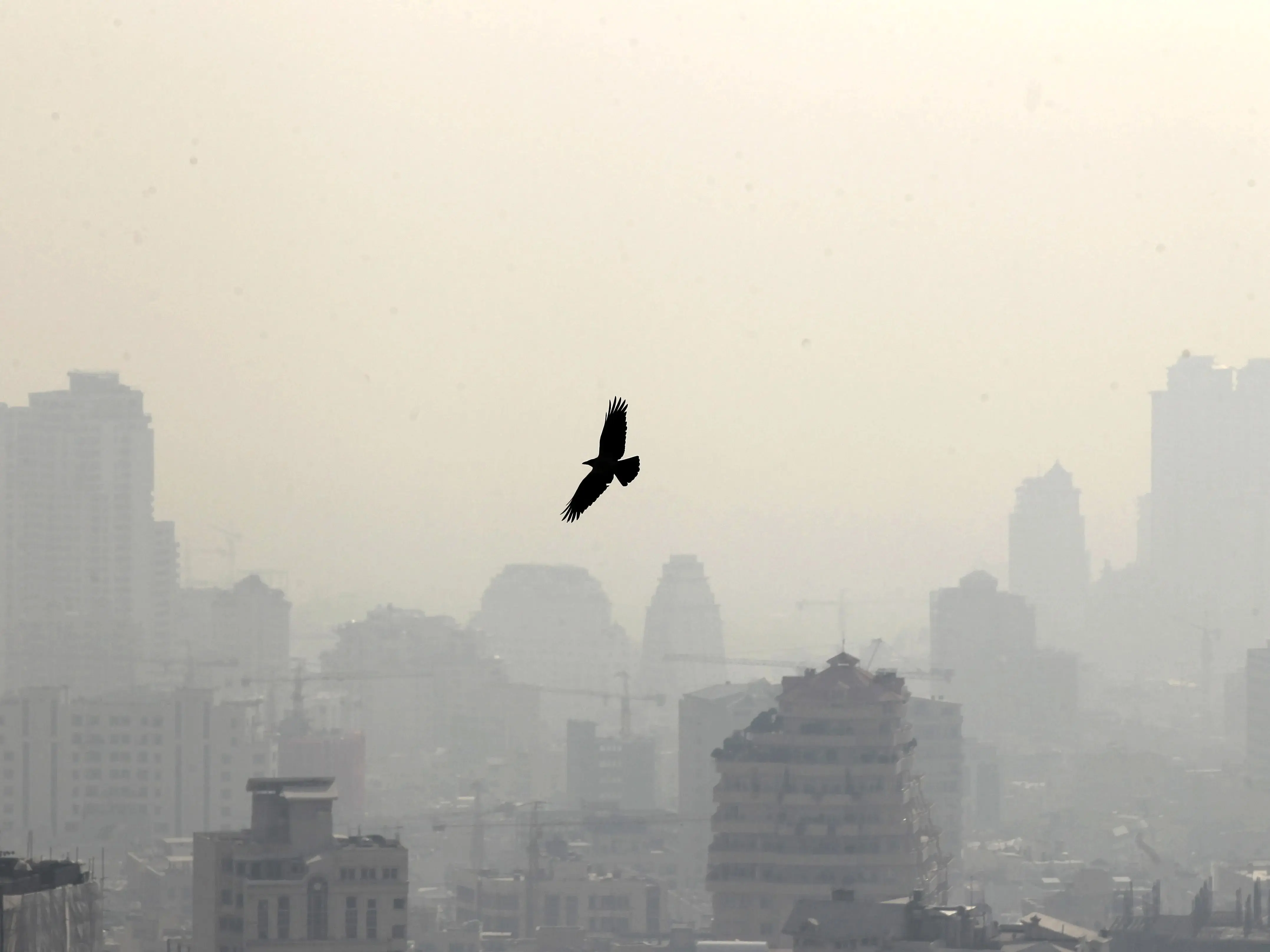 وضعیت آب و هوا امروز چهارشنبه 28 خرداد 1404/ پیش بینی وضعیت هوا فردا پنجشنبه 29 خرداد