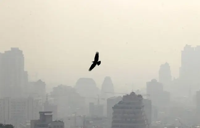 وضعیت آب و هوا امروز چهارشنبه 28 خرداد 1404/ پیش بینی وضعیت هوا فردا پنجشنبه 29 خرداد