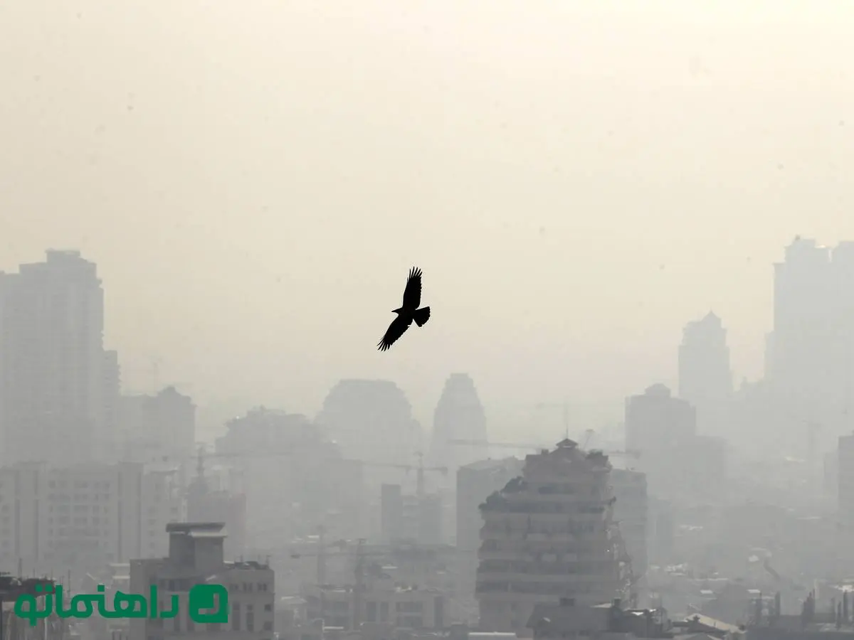 آلودگی هوا و زندگی شهری در جدال با طبیعت ؛ نگاهی به فیلم به سوی طبیعت وحشی