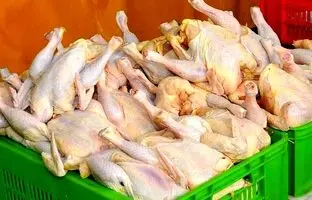 قیمت گوشت مرغ، امروز یکشنبه ۳۰ دی ۱۴۰۳
