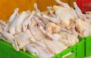 راهنمای بازار؛ قیمت گوشت مرغ، امروز ۲۲ اردیبهشت ۱۴۰۴
