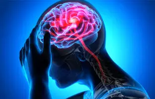 ۶ بلایی که فست فود سر مغز می‌آورد