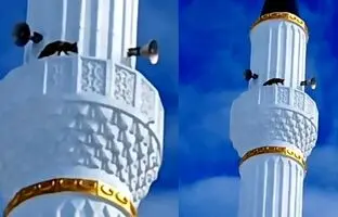 مشاهده یک روباه در بالای مناره مسجدی در ترکیه! + ویدئو