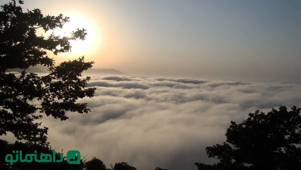 جنگل ابر: سفری رویایی بر فراز ابرها در فصل پاییز