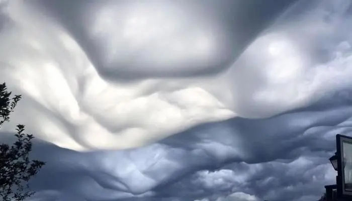  ابر سمّی در آسمان شهر آمریکایی + ویدئو