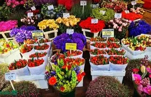 بهترین بازارهای گل و گیاه تهران کجاست؟