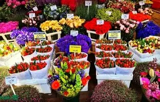 بهترین بازارهای گل و گیاه تهران کجاست؟