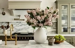 8 گل آپارتمانی که تو بهار عطر خونه رو مثل بهشت می‌کنن!