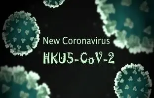 فقط یک جهش کوچک تا «اپیدمی»؛ کروناویروسِ HKU۵-CoV۲ در کمین/ باز هم پای خفاش‌ها در میان است؟